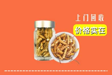 阳江阳春市回收散虫草