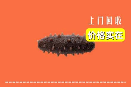 阳江阳春市回收海参