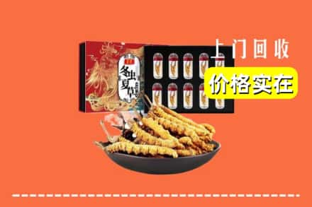 阳江阳春市回收虫草